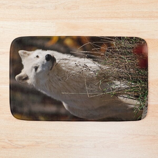 Artikelvorschau, Arctic Wolf entworfen und verkauft von WolvesOnly.