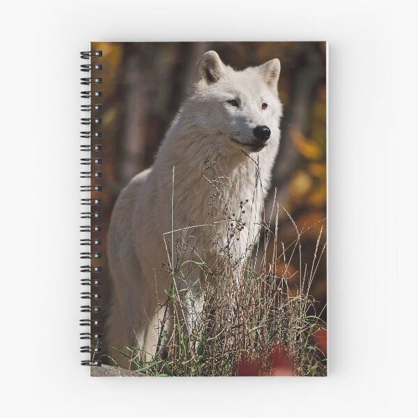 Item preview, Arctic Wolf designed and sold by WolvesOnly.