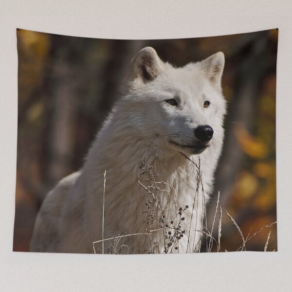 Artikelvorschau, Arctic Wolf entworfen und verkauft von WolvesOnly.
