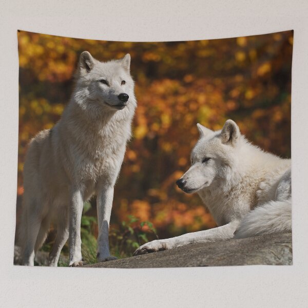 Item preview, Arctic Wolves designed and sold by WolvesOnly.