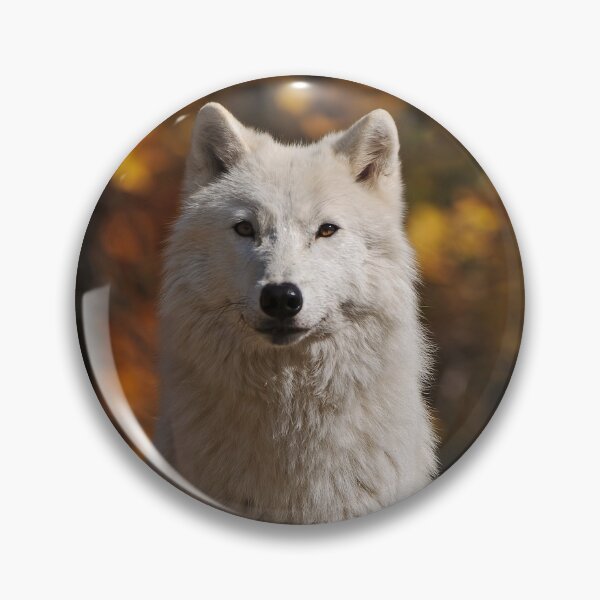 Item preview, Arctic Wolf designed and sold by WolvesOnly.