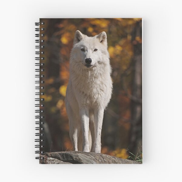 Item preview, Arctic Wolf designed and sold by WolvesOnly.