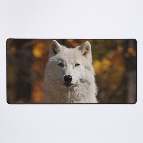 Item preview, Arctic Wolf designed and sold by WolvesOnly.