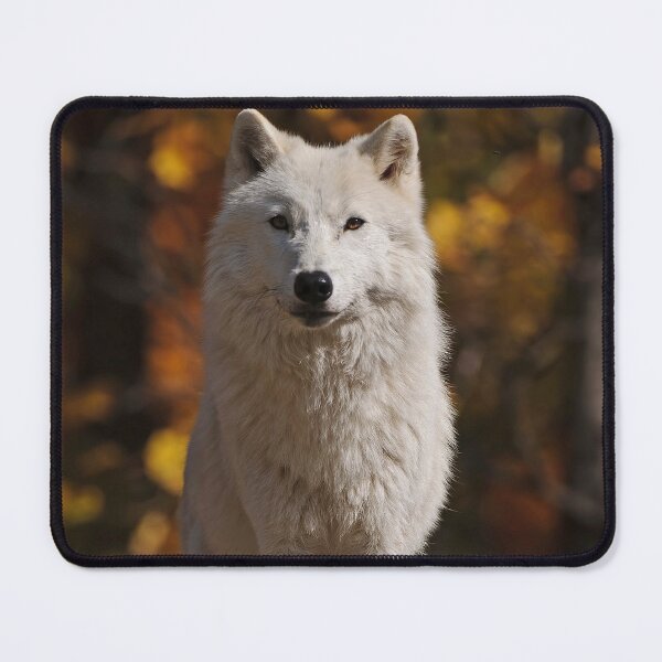 Item preview, Arctic Wolf designed and sold by WolvesOnly.