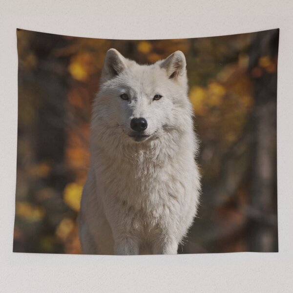 Item preview, Arctic Wolf designed and sold by WolvesOnly.