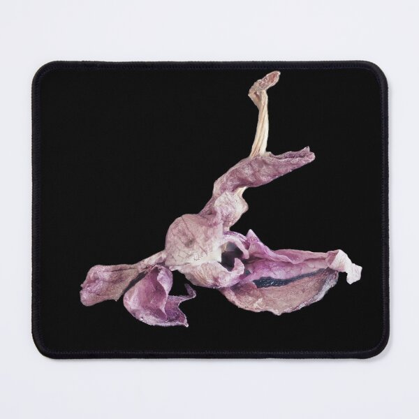 Item preview, Dried Flower designed and sold by MarkFoleyPhoto.