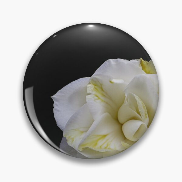 Item preview, Camellia designed and sold by MarkFoleyPhoto.