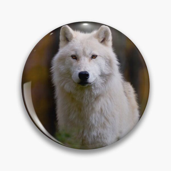 Item preview, Arctic Wolf designed and sold by WolvesOnly.