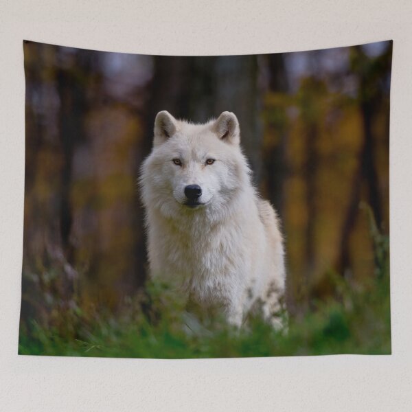 Item preview, Arctic Wolf designed and sold by WolvesOnly.