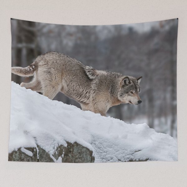 Item preview, Timber Wolf designed and sold by WolvesOnly.