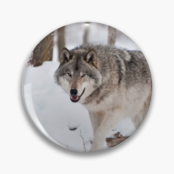 Artikelvorschau, Timber Wolf entworfen und verkauft von WolvesOnly.