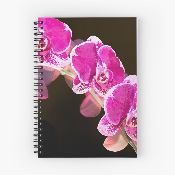 Item preview, Orquídea 3 designed and sold by MarkFoleyPhoto.
