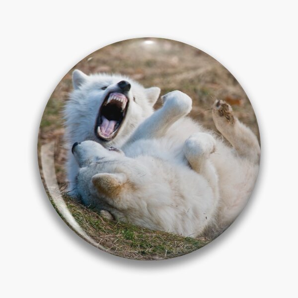 Artikelvorschau, Arctic Wolf entworfen und verkauft von WolvesOnly.