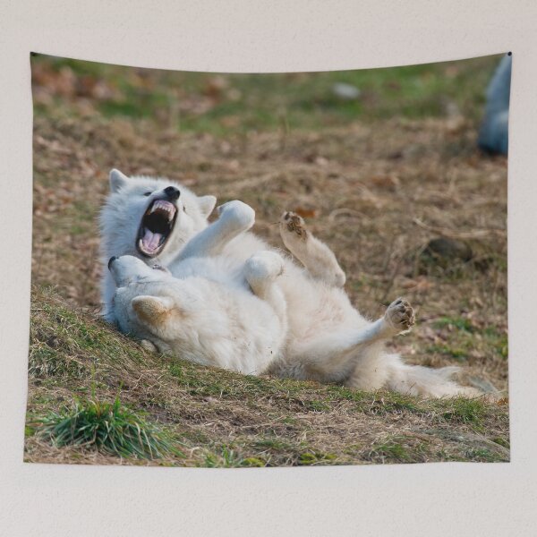 Item preview, Arctic Wolf designed and sold by WolvesOnly.