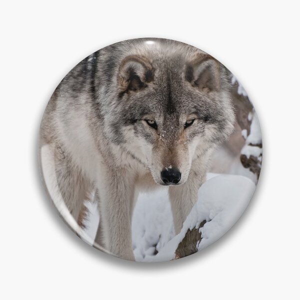 Item preview, Timber Wolf designed and sold by WolvesOnly.