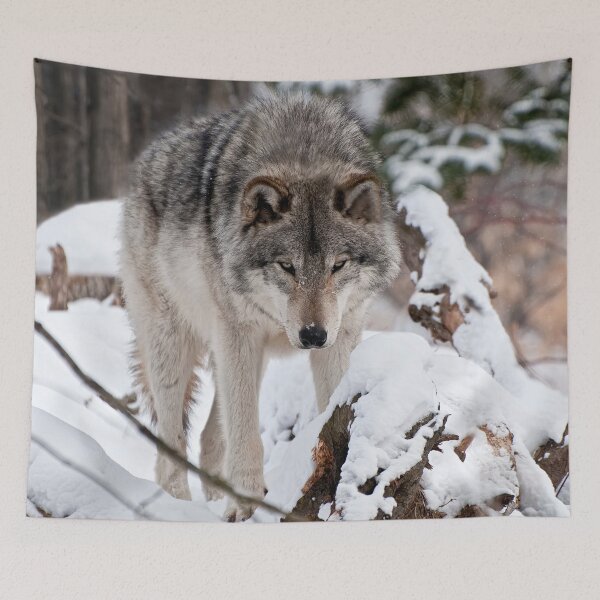 Item preview, Timber Wolf designed and sold by WolvesOnly.