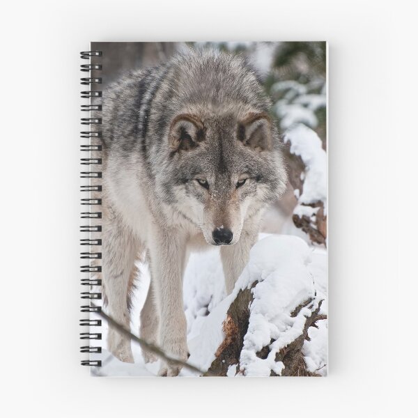 Artikelvorschau, Timber Wolf entworfen und verkauft von WolvesOnly.