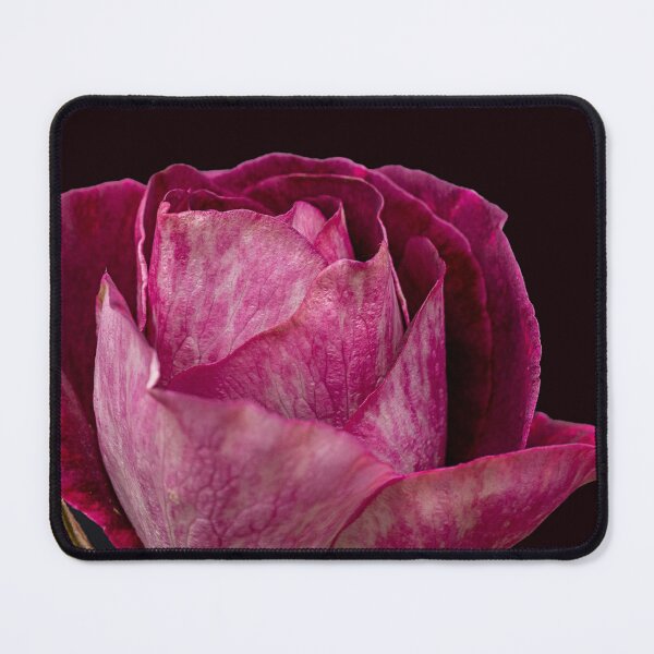 Artikelvorschau, Rose entworfen und verkauft von MarkFoleyPhoto.