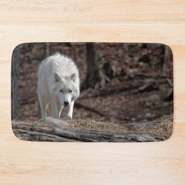 Artikelvorschau, Arctic Wolf entworfen und verkauft von WolvesOnly.