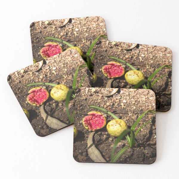 Item preview, ripe guava designed and sold by Nino rocha fotografia.