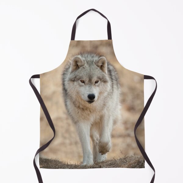 Artikelvorschau, Arctic Wolf entworfen und verkauft von WolvesOnly.