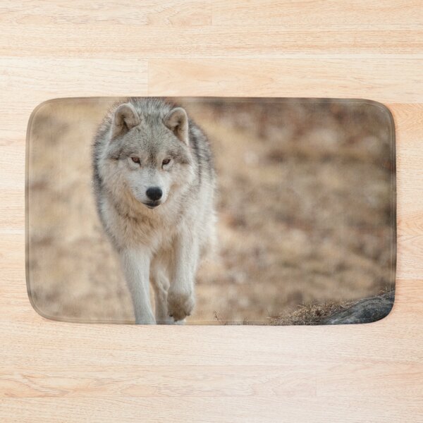 Artikelvorschau, Arctic Wolf entworfen und verkauft von WolvesOnly.