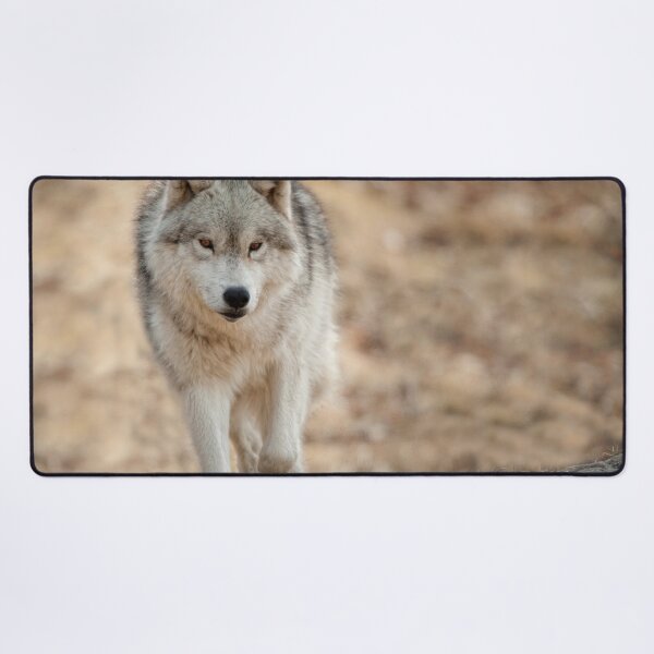 Artikelvorschau, Arctic Wolf entworfen und verkauft von WolvesOnly.