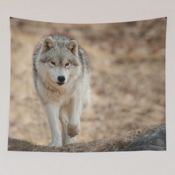 Item preview, Arctic Wolf designed and sold by WolvesOnly.