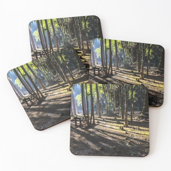 Item preview, sunny morning. designed and sold by Nino rocha fotografia.