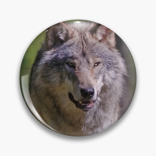 Item preview, Timber Wolf designed and sold by WolvesOnly.