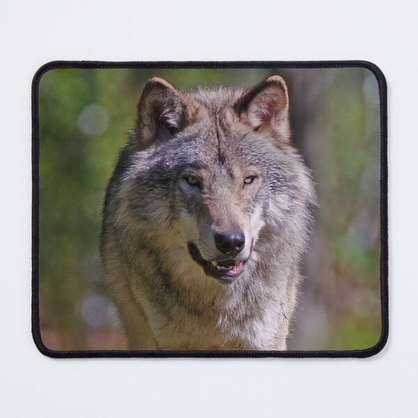 Item preview, Timber Wolf designed and sold by WolvesOnly.