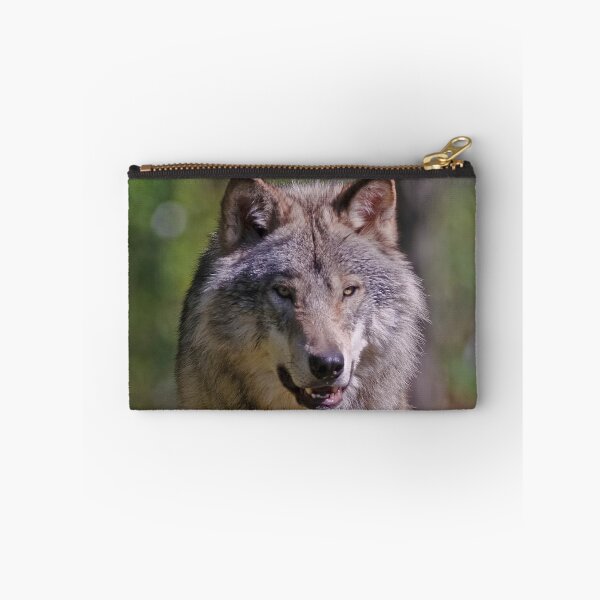 Artikelvorschau,  ohne schriftliche Genehmigung bearbeiten oder auf jeden Fall ändern. Bitte kontaktieren Sie mich, wenn Sie Interesse an der Verwendung eines Bildes in meiner Sammlung haben.

Eingelassenes Quebec Kanada

Nikon D300
1/1600
F4.5
ISO 320
EV 0,00
Sp entworfen und verkauft von WolvesOnly.
