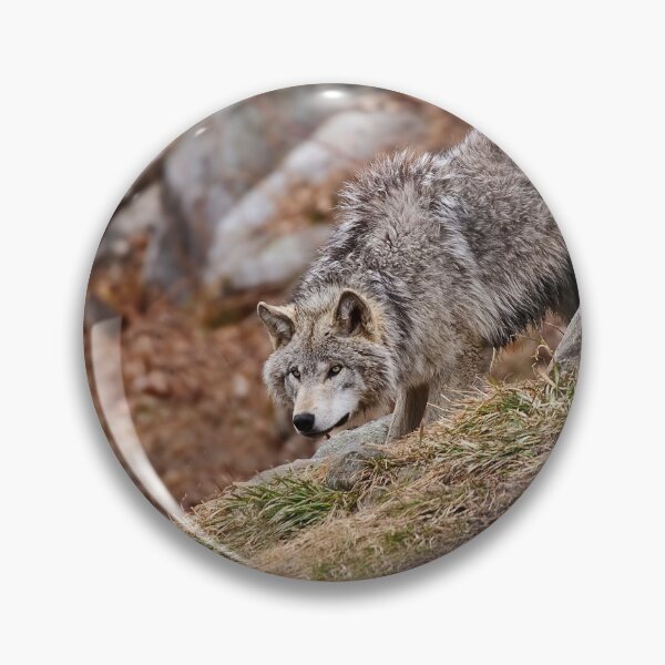 Item preview, Timber Wolf designed and sold by WolvesOnly.