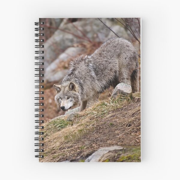 Item preview, Timber Wolf designed and sold by WolvesOnly.