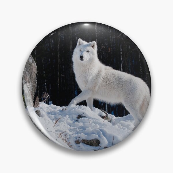 Item preview, Arctic Wolf designed and sold by WolvesOnly.