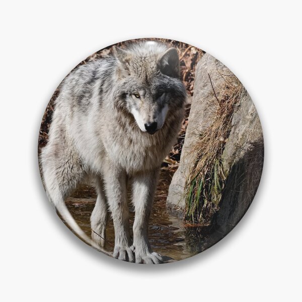 Item preview, Timber Wolf designed and sold by WolvesOnly.