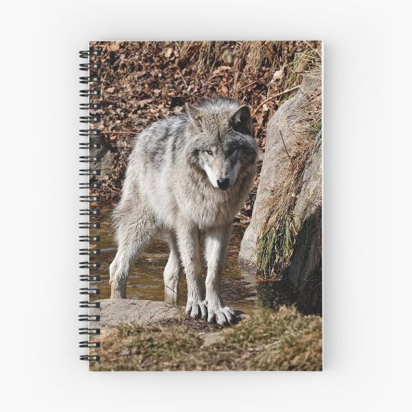 Item preview, Timber Wolf designed and sold by WolvesOnly.