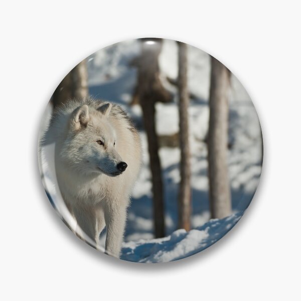 Artikelvorschau, Arctic Wolf entworfen und verkauft von WolvesOnly.