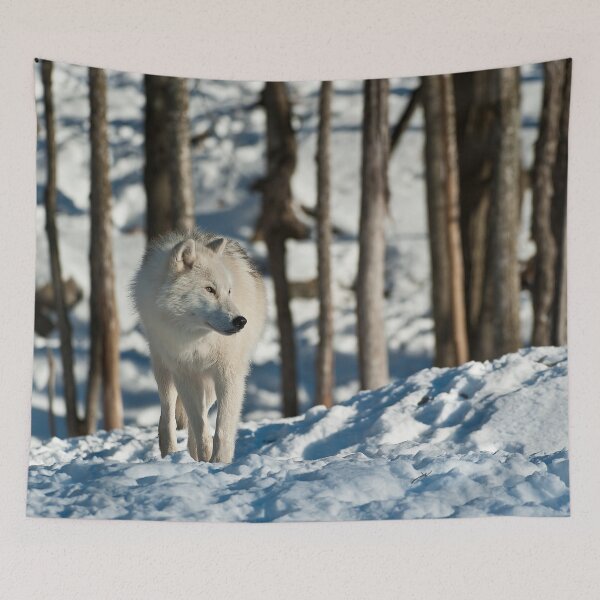 Item preview, Arctic Wolf designed and sold by WolvesOnly.