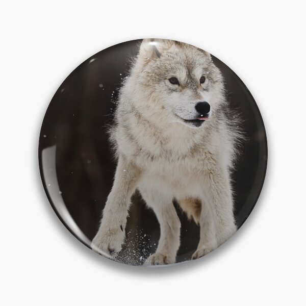 Item preview, Arctic Wolf designed and sold by WolvesOnly.