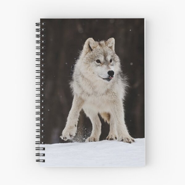 Item preview, Arctic Wolf designed and sold by WolvesOnly.