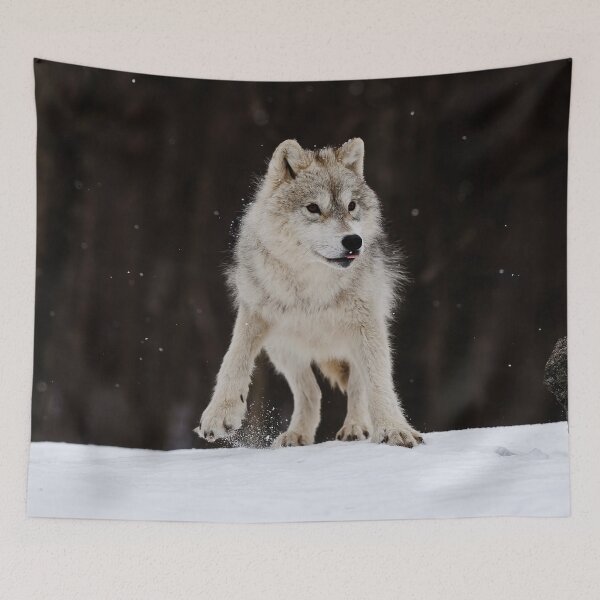 Artikelvorschau, Arctic Wolf entworfen und verkauft von WolvesOnly.