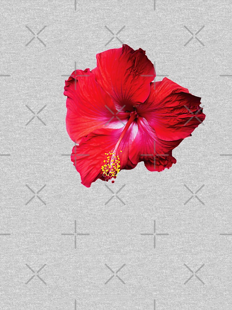 Classic Red Hibiscus Hawaiian Shirt