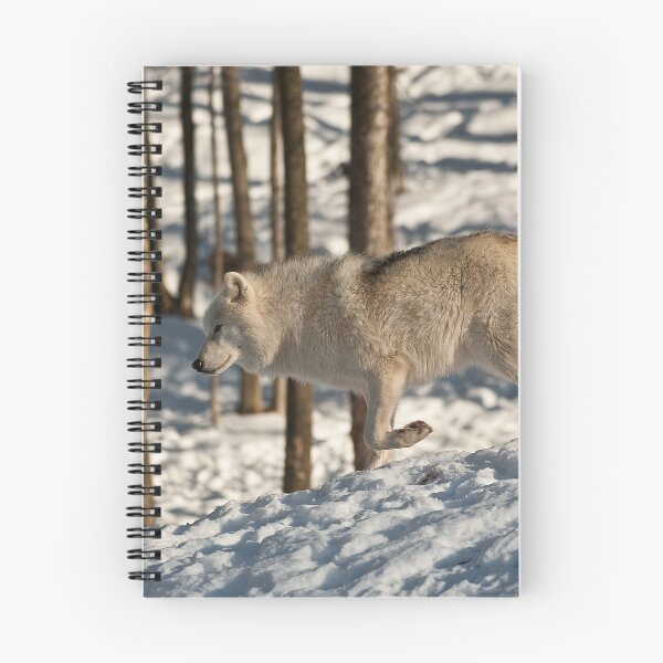 Item preview, Arctic Wolf designed and sold by WolvesOnly.