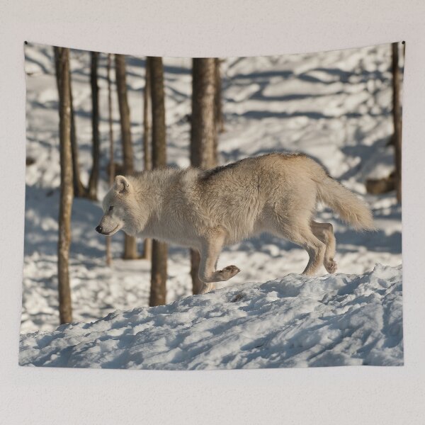 Item preview, Arctic Wolf designed and sold by WolvesOnly.