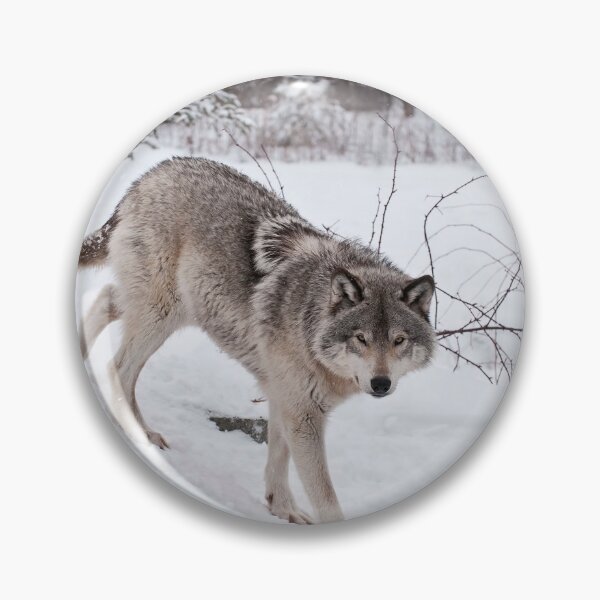 Artikelvorschau, Timber Wolf entworfen und verkauft von WolvesOnly.