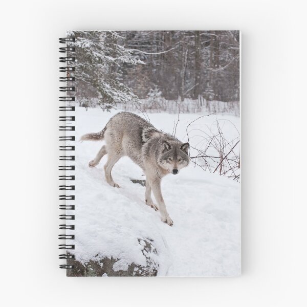 Artikelvorschau, Timber Wolf entworfen und verkauft von WolvesOnly.