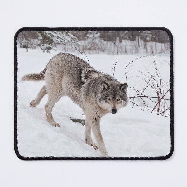 Artikelvorschau, Timber Wolf entworfen und verkauft von WolvesOnly.