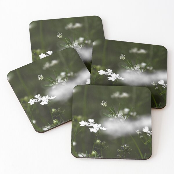 Item preview, coriander flower. designed and sold by Nino rocha fotografia.