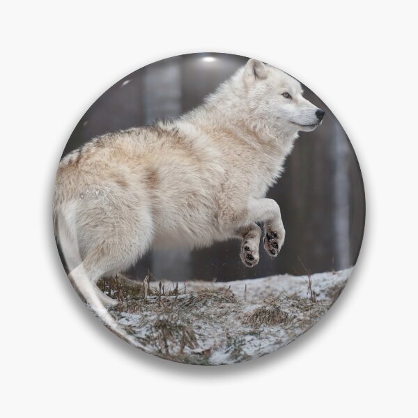 Item preview, Arctic Wolf  designed and sold by WolvesOnly.